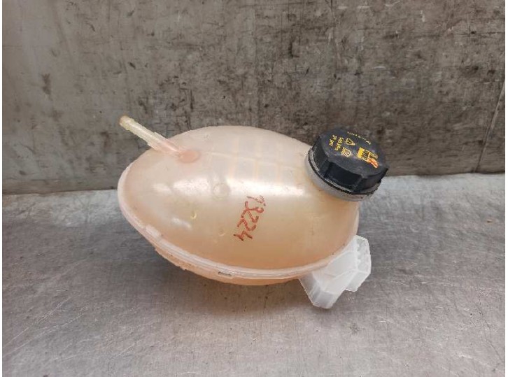 Recambio de deposito expansion para ford ka+ ti-vct cat (3 cil.) referencia OEM IAM GN118A080AA  