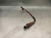 Replacement lambda sensor for Renault Scenic III Grand Dynamique OEM IAM reference 8200437489 0258010062 BOSCH