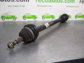 Recambio de transmision delantera derecha para seat leon (1m1) 1.9 tdi referencia OEM IAM 1J0407272  