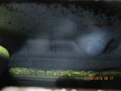 Recambio de motor completo para ford escort berlina 1.6 referencia OEM IAM L1H 