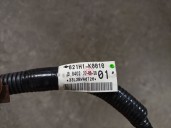 Recambio de cableado para toyota yaris (_p21_, _pa1_, _ph1_) 1.5 hybrid (mxph10) referencia OEM IAM 821H1K0010 821H1K0010 