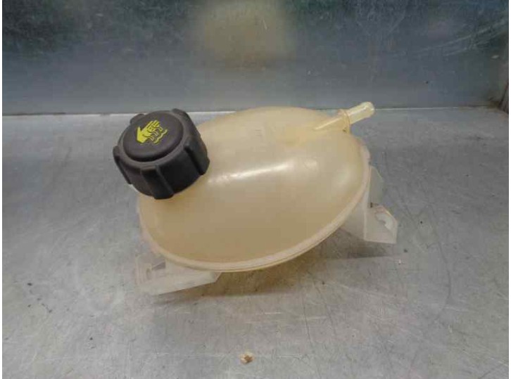 Recambio de deposito expansion para dacia sandero ii 1.0 12v cat referencia OEM IAM 217107259R  