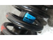 Recambio de amortiguador delantero derecho para mg serie 600 (rh) 618 i referencia OEM IAM RNB10296J 22103604 DELPHI