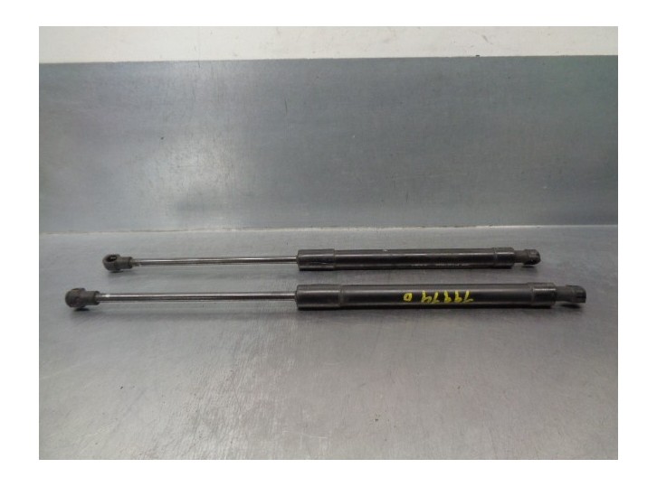 Recambio de amortiguadores capo para chevrolet epica 2.0 diesel cat referencia OEM IAM 96636673  