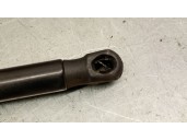 Recambio de amortiguadores capo para opel insignia a (g09) 2.0 cdti (68) referencia OEM IAM 315005777 1180016 