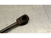 Recambio de amortiguadores capo para opel insignia a (g09) 2.0 cdti (68) referencia OEM IAM 315005777 1180016 