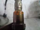 Recambio de sonda lambda para ford ka+ ti-vct cat (3 cil.) referencia OEM IAM NTK