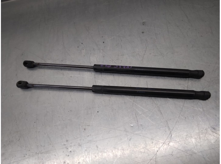 Recambio de amortiguadores maletero / porton para citroën c3 1.4 referencia OEM IAM 9639853880  