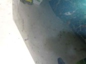 Recambio de capot para suzuki ignis rg (fh) 1.3 cat referencia OEM IAM 5730080G00000 VERDE 