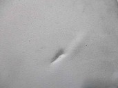 Recambio de parasol izquierdo para mercedes-benz clase a (w169) 2.0 cdi cat referencia OEM IAM A1698100110  