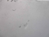 Recambio de parasol izquierdo para mercedes-benz clase a (w169) 2.0 cdi cat referencia OEM IAM A1698100110  