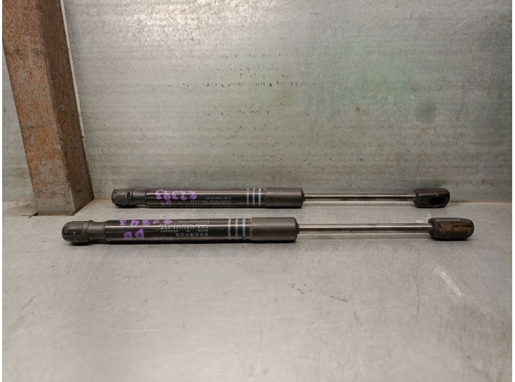 Recambio de amortiguadores capo para bmw 5 touring (f11) 520 d referencia OEM IAM 51237309117  239964