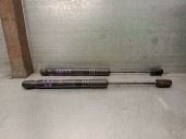 Recambio de amortiguadores capo para bmw 5 touring (f11) 520 d referencia OEM IAM 51237309117  239964