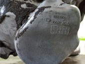 Recambio de caja cambios para daewoo nubira berlina 1.6 cat referencia OEM IAM C372  