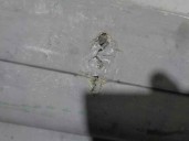 Recambio de paragolpes delantero para renault rapid/express (f40) 1.4 referencia OEM IAM 7700760836 GRIS TEXTURADO 