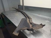Recambio de torpedo para citroën c6 2.7 v6 hdi fap cat (uhz / dt17ted4) referencia OEM IAM 96520480XT 