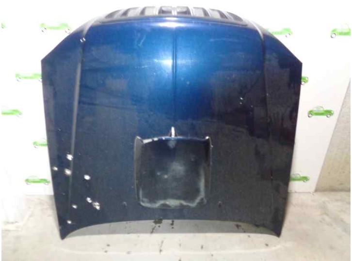 Recambio de capot para hyundai terracan (hp) 2.9 crdi cat referencia OEM IAM 79000H1212 AZUL 