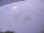 Recambio de capot para audi coupe (855) 2.2 referencia OEM IAM 811823029 BLANCO 