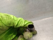 Recambio de sensor para bmw 5 touring (f11) 520 d referencia OEM IAM 65816936953  