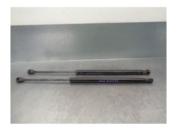 Recambio de amortiguadores maletero / porton para renault scenic ii 1.9 dci diesel referencia OEM IAM 8200616564 