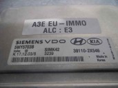Recambio de centralita motor uce para kia rio 1.3 cat referencia OEM IAM 391102X546 5WY5703B SIEMENS