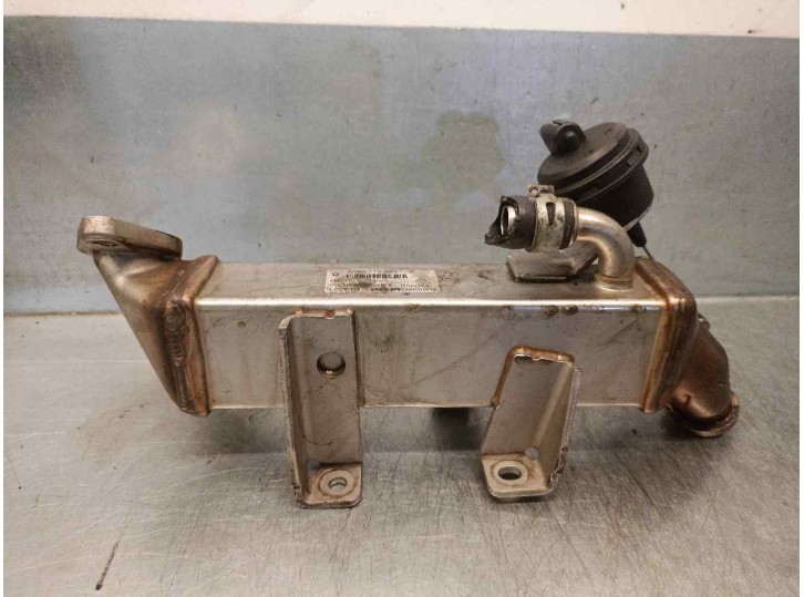 Recambio de enfriador egr para nissan qashqai (j10) 2.0 dci turbodiesel cat referencia OEM IAM H8200620695  