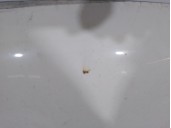 Recambio de capot para ford transit caja cerrada ´06 2.4 tdci cat referencia OEM IAM 1742622  