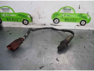 Recambio de sonda lambda para seat ibiza (6k1) 1.4 referencia OEM IAM 06A906262AR 0258006229 BOSCH
