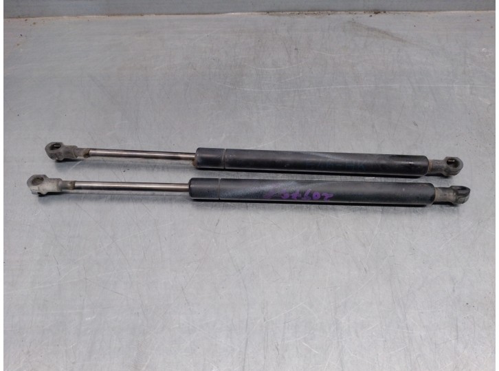 Recambio de amortiguadores maletero / porton para bmw serie 3 berlina (e46) 2.0 24v referencia OEM IAM 51248254281 