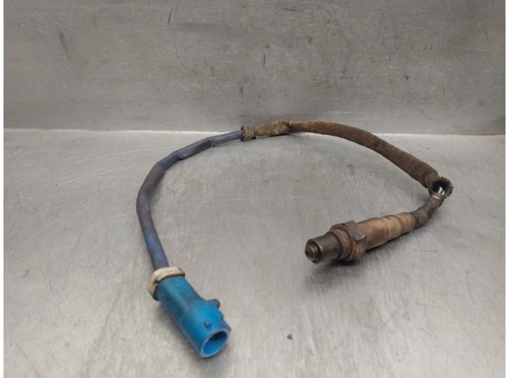 Recambio de sonda lambda para ford focus berlina (cap) 1.6 ti-vct cat referencia OEM IAM 3M519G444CB 0258006571 BOSCH