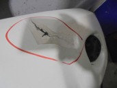 Recambio de paragolpes delantero para nissan x-trail (t31) le referencia OEM IAM 62022JG44H BLANCO 