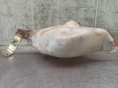 Recambio de deposito limpia para peugeot 309 1.6 referencia OEM IAM 9253263180  