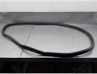 Recambio de gomas contorno puerta para alfa romeo giulia (952) 2.2 jtdm cat referencia OEM IAM 50543588 TRASERA DERECHA 