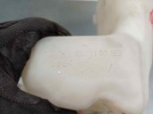 Recambio de deposito limpia para mercedes-benz clase cls (w219) 3.0 cdi cat referencia OEM IAM 2118601460 A2118602160 