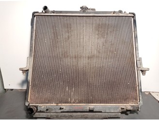 Recambio de radiador agua para nissan pathfinder (r51) 2.5 dci diesel cat referencia OEM IAM 21410EB30A ETP11398V