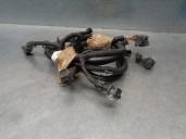 Recambio de bisagra puerta para citroën c4 cactus 1.2 12v e-thp / puretech referencia OEM IAM   