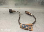 Recambio de sonda lambda para citroën zx break 1.9 turbodiesel referencia OEM IAM LSH6 0258003231 BOSCH