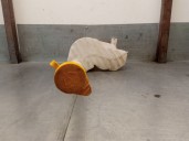 Recambio de deposito limpia para opel movano b kasten/combi 2.3 cdti referencia OEM IAM 2891000023R 4419904 