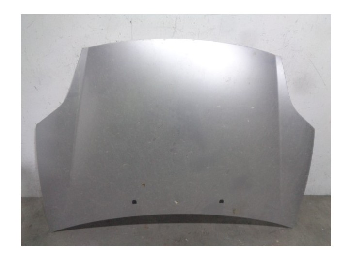 Recambio de capot para fiat bravo (198) 1.9 8v jtd cat referencia OEM IAM 51775925 GRIS 