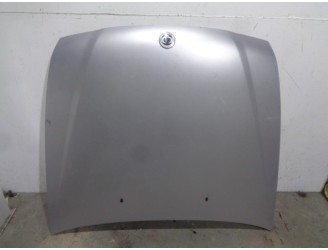 Recambio de capot para ssangyong rexton 2.7 turbodiesel cat referencia OEM IAM 6100108012 GRIS 