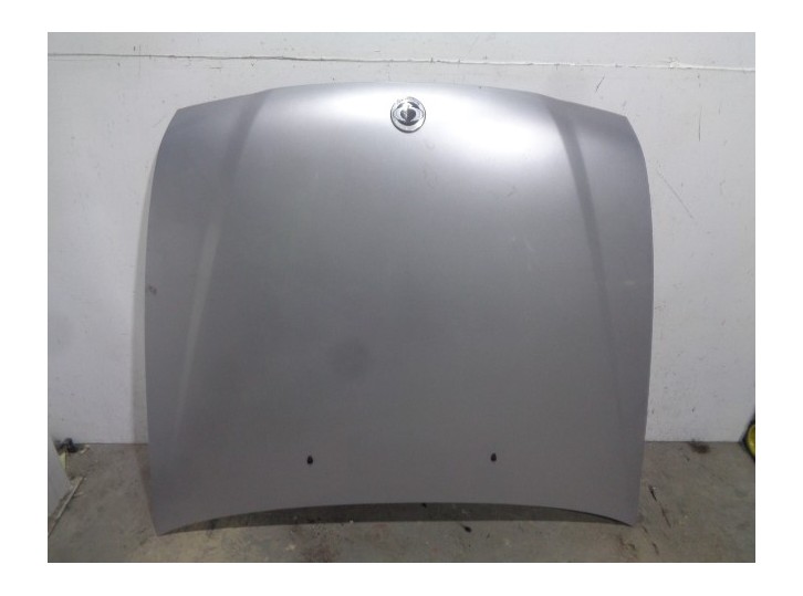 Recambio de capot para ssangyong rexton 2.7 turbodiesel cat referencia OEM IAM 6100108012 GRIS 