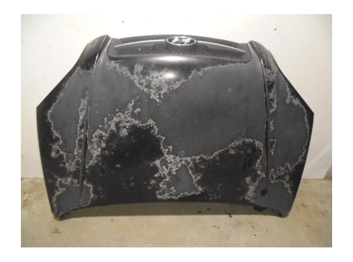 Recambio de capot para hyundai tucson (jm) 2.0 crdi cat referencia OEM IAM 664002E020 NEGRO 