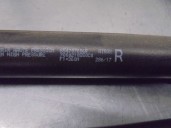 Recambio de amortiguadores capo para renault megane iv berlina 5p 1.5 dci diesel fap energy referencia OEM IAM 654700462R 