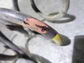 Recambio de muelle amortiguacion para ford fusion (cbk) 1.4 16v cat referencia OEM IAM   