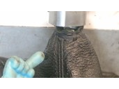 Recambio de palanca cambio para bmw 5 touring (f11) 520 d referencia OEM IAM 25117564163 25117564163 