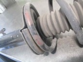 Recambio de amortiguador delantero izquierdo para ford transit caja cerrada, corta (fy) (2000 =>) 2.0 td cat referencia OEM IAM 