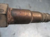 Recambio de sonda lambda para lancia ypsilon (101) 1.4 cat referencia OEM IAM  0258006206 BOSCH