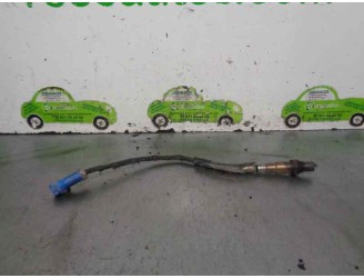 Recambio de sonda lambda para ford focus berlina (cak) 1.6 16v cat referencia OEM IAM 98AB9G444BB 0258006055 BOSCH