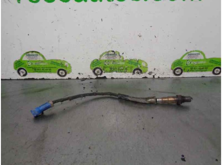 Recambio de sonda lambda para ford focus berlina (cak) 1.6 16v cat referencia OEM IAM 98AB9G444BB 0258006055 BOSCH