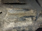 Recambio de diferencial trasero para audi a4 b5 (8d2) 1.9 tdi referencia OEM IAM DAK 01R525053G 01R525053E